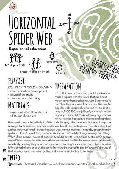 Horizontal Spider Web